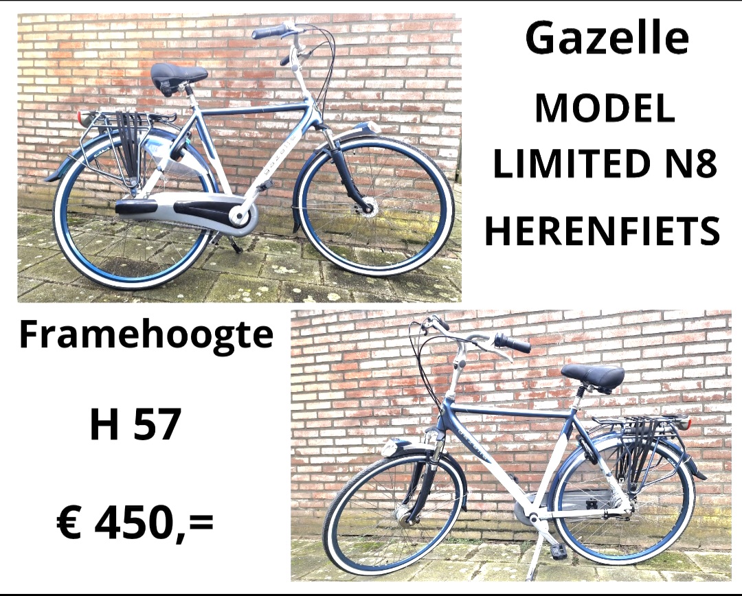 Stadsfiets blauw